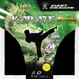 Giant Dragon Karate Soft Turbo