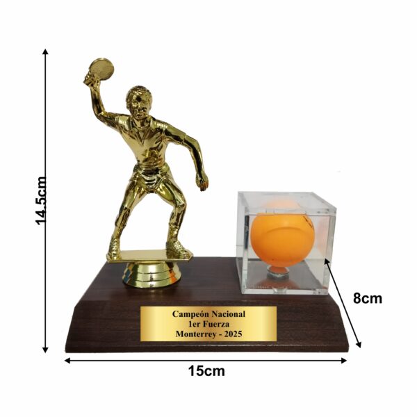 Trofeo con base - Image 2